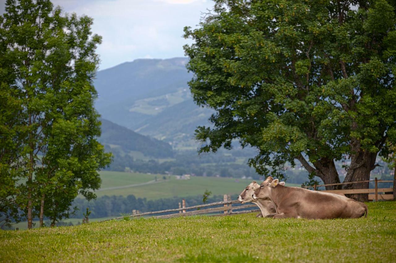 Moserhof Haus im Ennstal Exterior foto